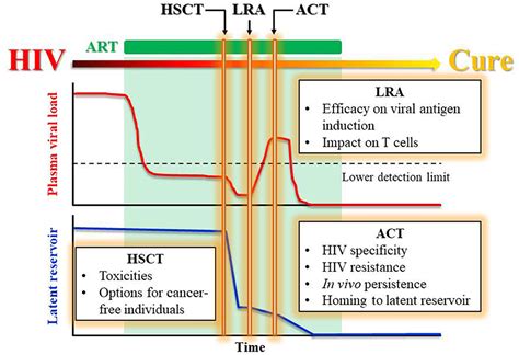 Frontiers Virus Specific T Cell Therapies For Hiv Lessons Learned