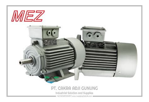 Mez Electric Motor PT Cakra Adji Gunung