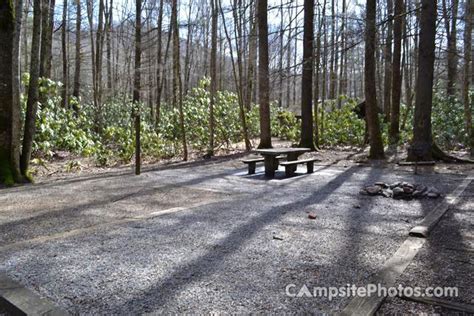 Roan Mountain State Park - Campsite Photos & Reservations