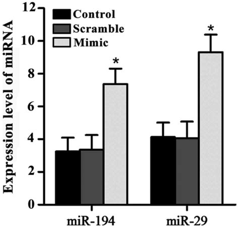 Application Values Of Mir And Mir In The Diagnosis And Prognosis