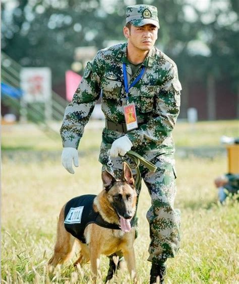 神犬奇兵小米步枪 伤感说说吧