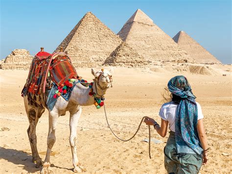 Cairo Half Day Tour To Giza Pyramids Sphinx With Camel Ride And Lunch