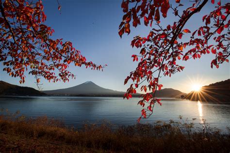 November Mount Fuji Autumn Leaves Unesco Blain Harasymiw