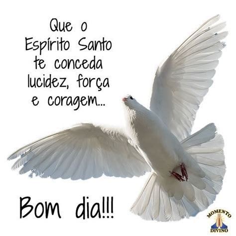 Mensagem De Bom Dia Espírito Santo De Deus Conjunto Bom dia