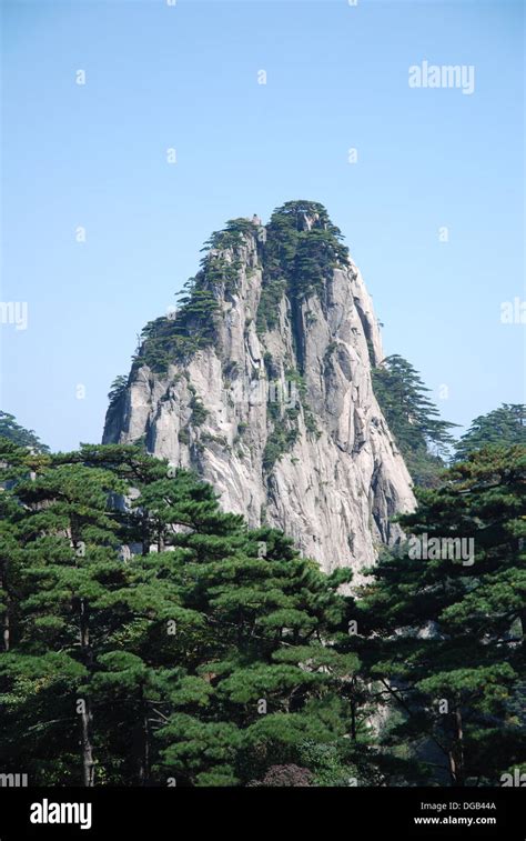 Huangshan pine trees, Huangshan Mount Huang, Anhui province, China Stock Photo - Alamy