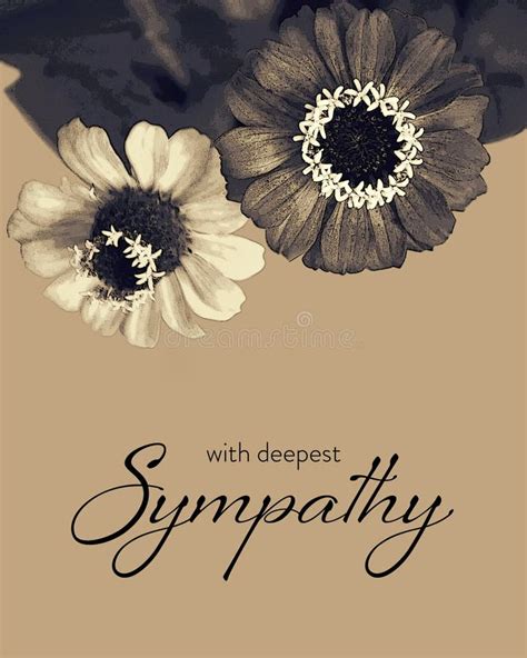 Sympathy Card With Zinnia Flowers Illustration Stock Illustration