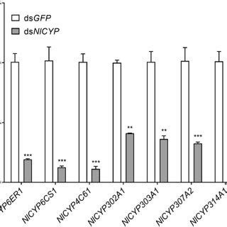 Relative Expression Of Cyp Genes In Third Instar Nymphs Of N Lugens