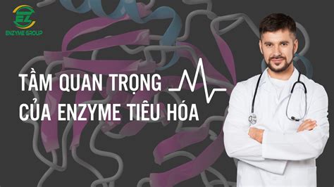 Vai Trò Quan Trọng Của Enzyme Tiêu Hóa đối Với Cơ Thể Chúng Ta Noni