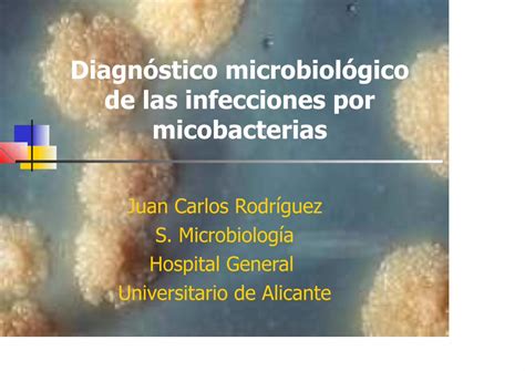 Pdf Diagn Stico Microbiol Gico De Las Infecciones Por Pdf