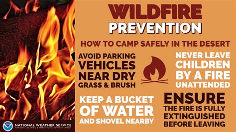 Wildfire Infographics