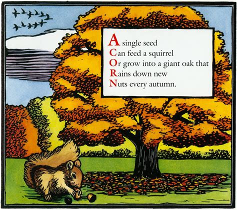 Acorn From Autumn An Alphabet Acrostic Leslie Evans