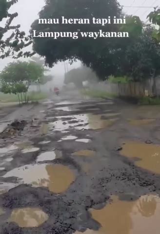 Potret Jalan Di Lampung Yang Rusak Parah Apakah Ini Wahana