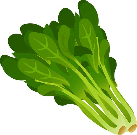 Real Spinach Clipart 20 Free Cliparts Download Images On Clipground 2020