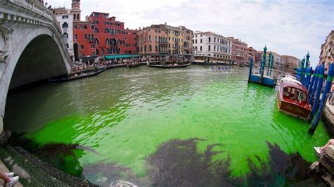 Mundo Descubren por qué las aguas se tornaron verde fosforescente en