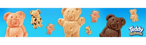 Teddy Grahams Chocolatey Chip Graham Snacks - 10 oz | Delicious and ...