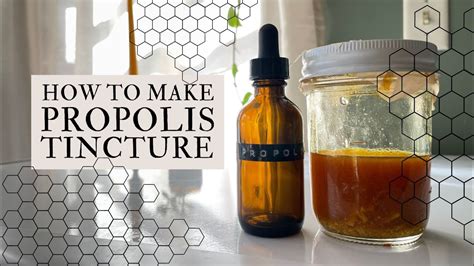 How To Make Propolis Tincture Easy At Home Herbalism Youtube