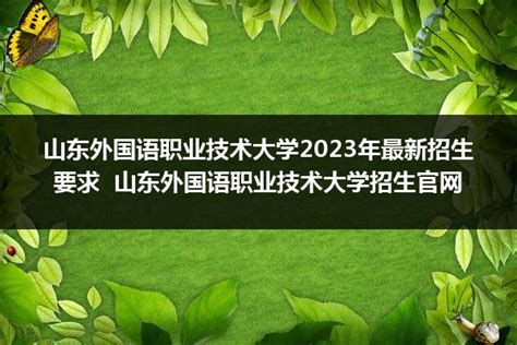 山东外国语职业技术大学2024年最新招生要求 山东外国语职业技术大学招生官网山东职校招生网