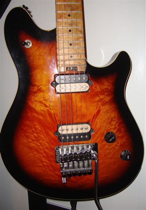 Van Bontas Guitar Collection My First Year Peavey Evh Wolfgang