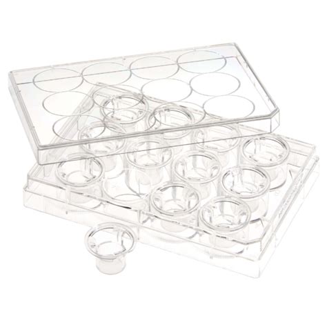 Permeable Cell Culture Inserts Packed In 12 Well Plate Hanging PC 0