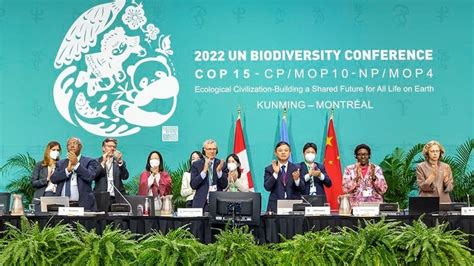 Países llegan a un acuerdo histórico para proteger la biodiversidad del