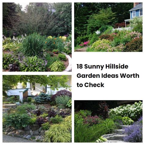 Sunny Hillside Garden Ideas Worth To Check Sharonsable