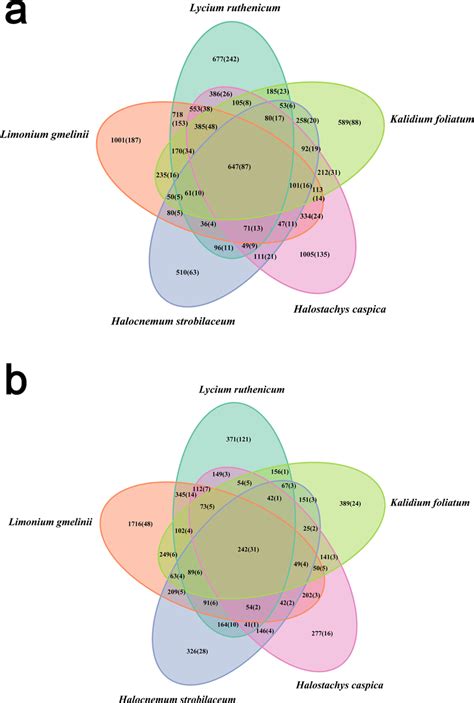 Venn Diagram Showing The Otus Shared Among Different Samples A