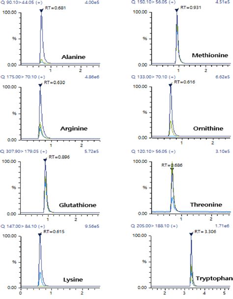 Lc Msms Chromatograms Of 8 Amino Acids Alanine Methionine Arginine Download Scientific