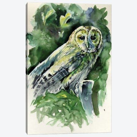 Funny Cute Owl Canvas Art Print by Anna Brigitta Kovacs | iCanvas