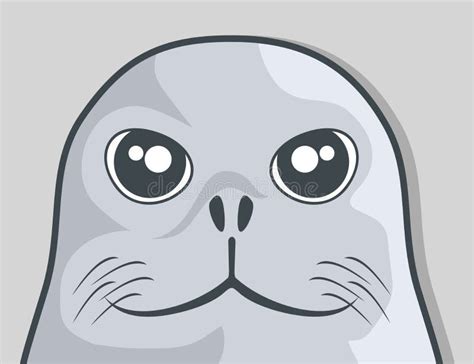 Face seal stock vector. Illustration of animal, funny - 29641525