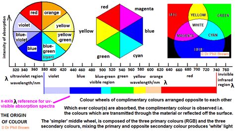 Uv Visible Light Absorption Spectra Photopigments Of The Human Eye