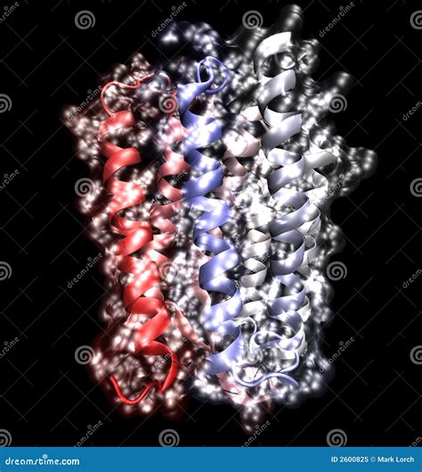 Membrane Protein Channels At A Lipid Bilayer Cell Membrane Royalty-Free Stock Photography