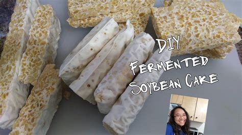 Homemade Fermented Soybean Cake Tempeh Youtube