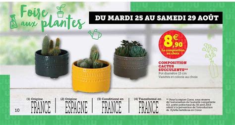 Promo Composition Cactus Succulente Chez U Express ICatalogue Fr