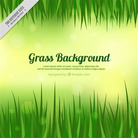 Free Vector Grass Background With Template