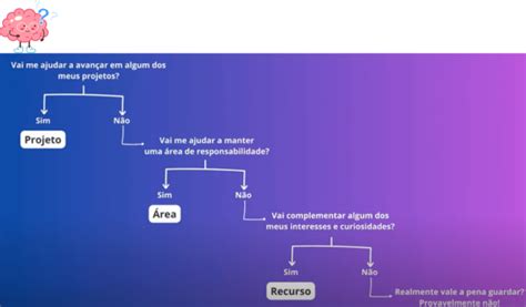 Criando Um Segundo C Rebro Guia Completo Para Organizar Sua Vida E