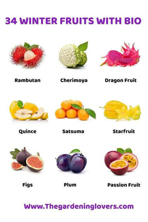 34 Delicious Fruits Names And Bio For Winter Season Winter Fruit Pickled Fruits And Vegetables