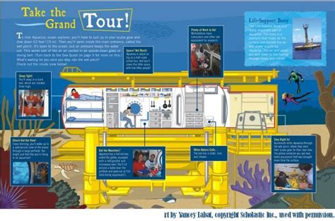 Aquarius Habitat Underwater Marine Biology Reef