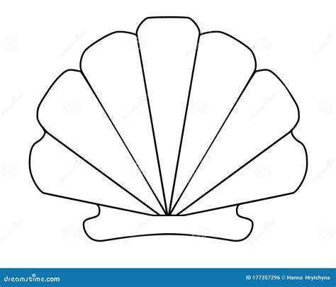 Scallop Shell Vector Linear Picture For Coloring Outline Hand