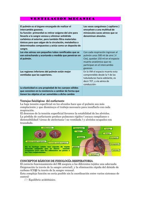 VENTILACION MECANICA Ana Isabel Rivero UDocz