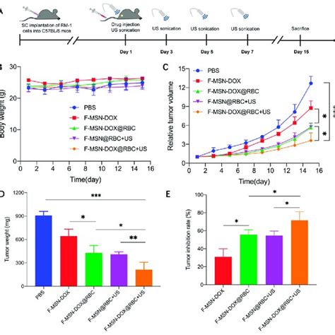 Anti Tumor Efficacy Assessment A The Anti Tumor Experimental Flow