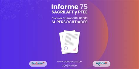 Informe Sagrilaft Y Ptee Agnos