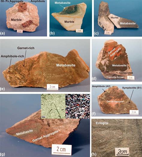 Suite Of Typical Samples From Calc Silicate Reaction Zone A Type A