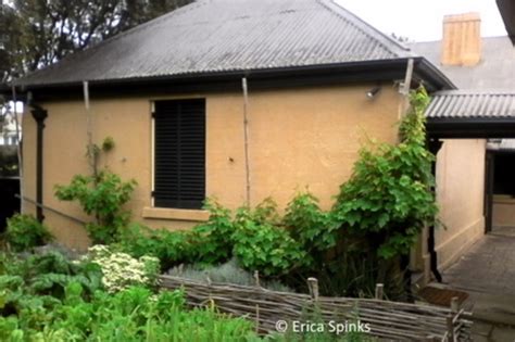 Garden Inspiration From Elizabeth Farm Erica Spinks