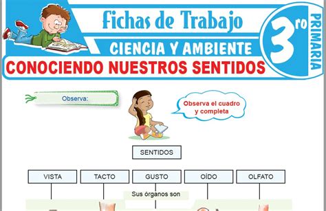 Higiene Y Salud Para Tercero De Primaria Fichas De Trabajo