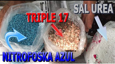 Uso De Fertilizante Sal Urea Nitrofoska Azul Triple Para