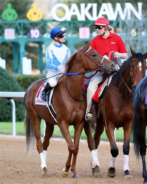 Butterbean The Mistletoe Stakes Nd Running R