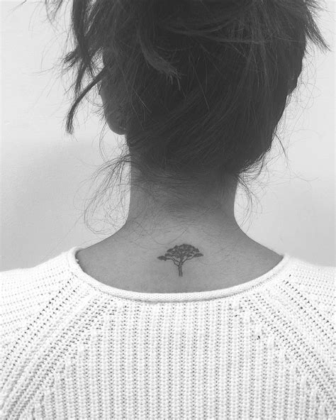 Acacia Tree Tattoo Meaning