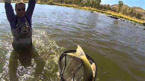 Wildguys Catching A Lbs Largemouth Yellowfish On The Vaal River