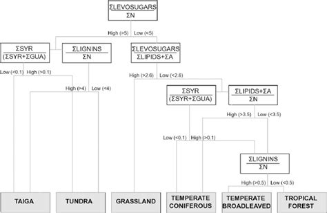 Decision Tree Differentiating The Som Composition Under Different