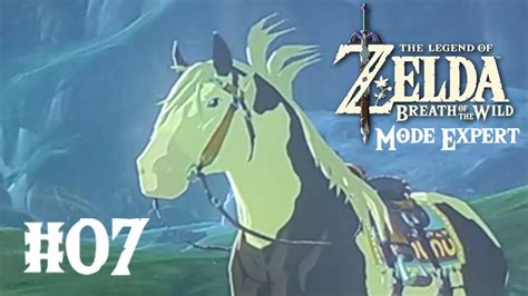 Zelda Breath Of The Wild Mode Expert 7 Découverte Du Relais Des Géminés On Capture Un